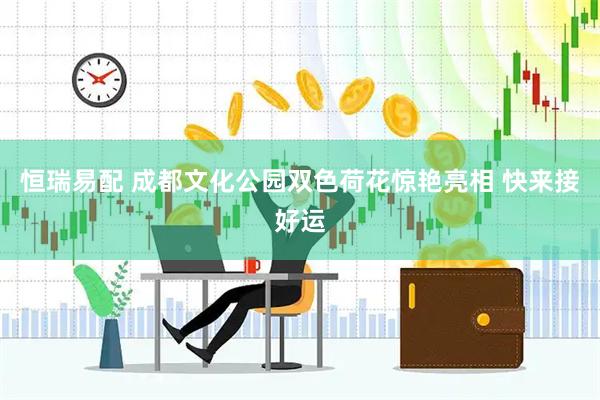 恒瑞易配 成都文化公园双色荷花惊艳亮相 快来接好运