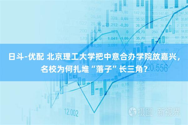 日斗-优配 北京理工大学把中意合办学院放嘉兴，名校为何扎堆“落子”长三角？